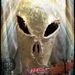 Profile Picture of Bryan Cheapooleys (@bcheapooleys) on Pinterest