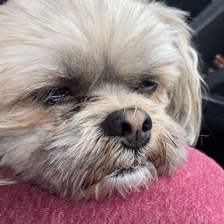 Profile Picture of Charlie.DAlessandro (@charlie.dalessandro) on Tiktok