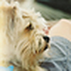Profile Picture of Brad MacDougall (@brad-macd) on Flickr