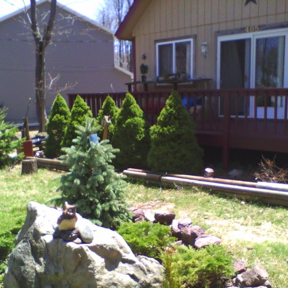 Profile Picture of Gabriel Isernia (@luino) on Poshmark