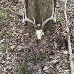 Profile Picture of Joseph Biafore (@Joseph-Biafore) on Facebook