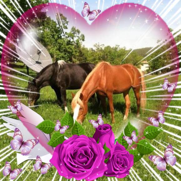 Profile Picture of Cynthia Collister (@waytaminut) on Poshmark