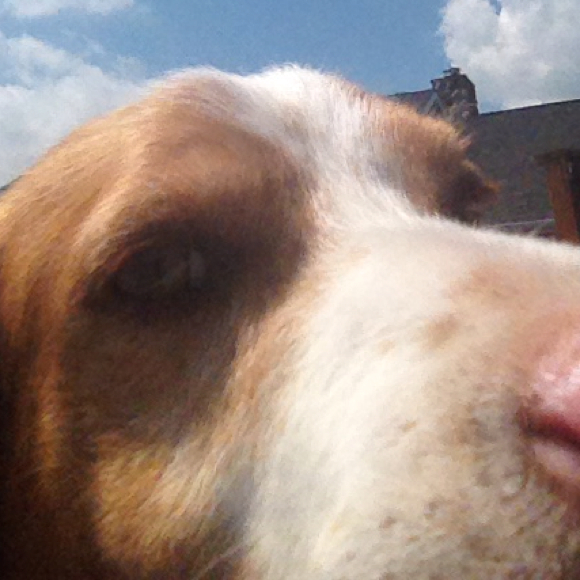 Karey Debeck - Poshmark Profile Picture of Karey Debeck (@karma07) on Poshmark