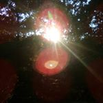 Profile Picture of Nathan Metzger (@natebutcher724) on Instagram