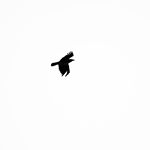 Profile Picture of David Gustavsson (@fotografdavidg) on Instagram
