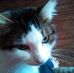 Profile Picture of Vicki Grinstead (@vicki.grinstead.5) on Facebook