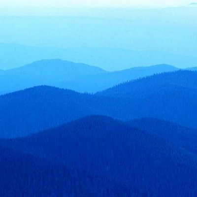 Profile Picture of Ann Dunphy (@annavondale) on Twitter