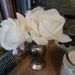 Profile Picture of Janette Mckaig (@janetteca) on Pinterest