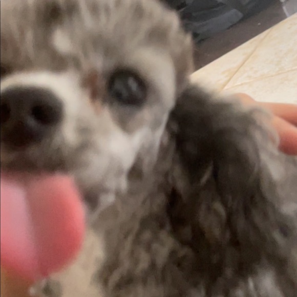 Profile Picture of Georgia Godber (@ggod945) on Poshmark