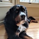 Profile Picture of Eli Boyce (@eli__theberner) on Instagram