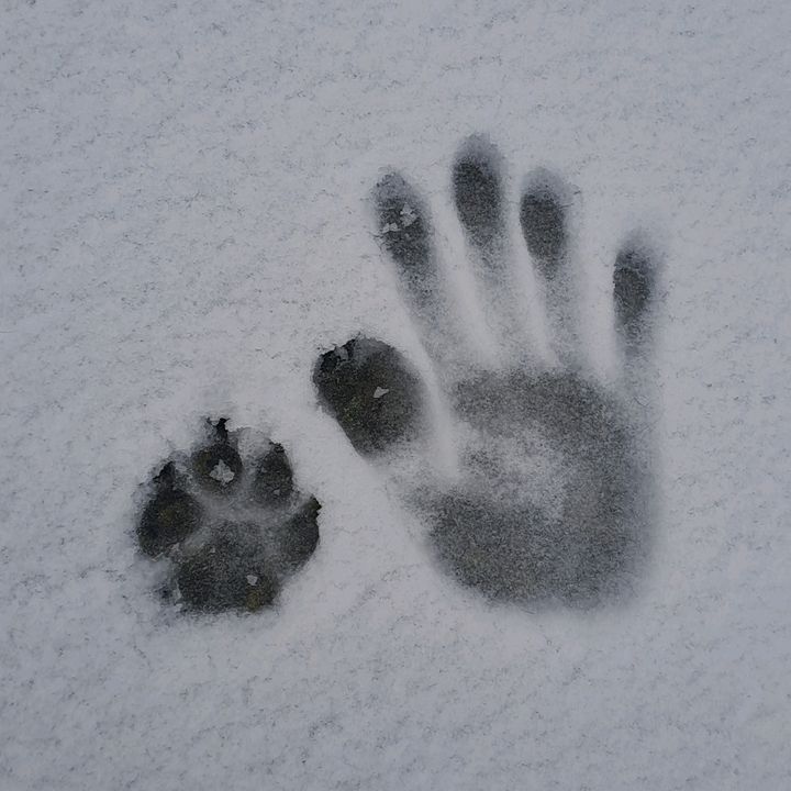 Profile Picture of roncka (@roncka111) on Tiktok