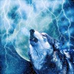 Profile Picture of Nathan Yam (@lightning_nathan) on Instagram
