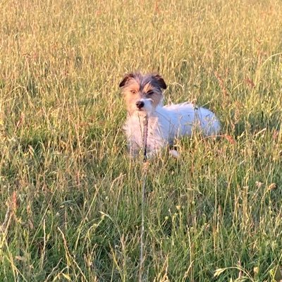 Profile Picture of David Seabury (@david26157320) on Twitter