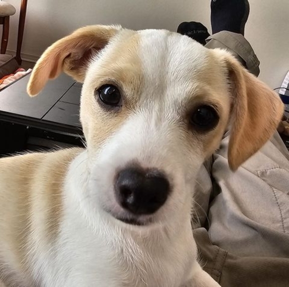 Daniel Nohner - Poshmark Profile Picture of Daniel Nohner (@danielnohner) on Poshmark