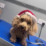 Profile Picture of Sue Tompkins (@Sue-Tompkins) on Facebook