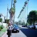 Profile Picture of Bernadette Springer (@bernadette.springer.980315) on Facebook