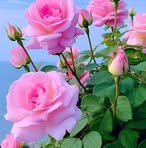 Profile Picture of Margaretha Marceline (@margaretha.marceline) on Facebook