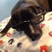 Profile Picture of Brady Anstey (@brady.anstey.1) on Facebook