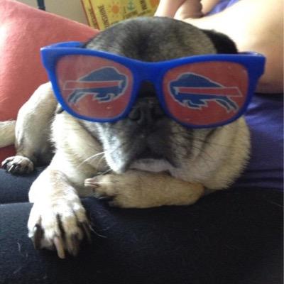 Profile Picture of Mike LaPorta (@MikeLap56) on Twitter