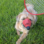 Profile Picture of Brian Reilley (@brianreilley8038) on Youtube