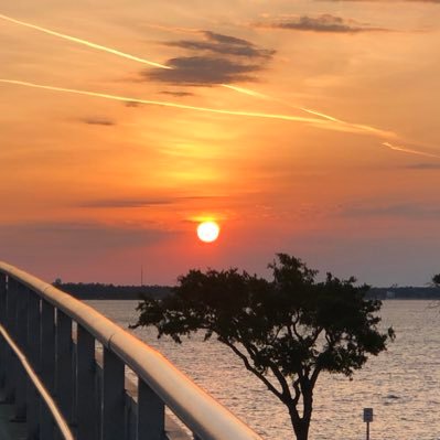 Profile Picture of Marcella Hale (@MarcellaHale14) on Twitter