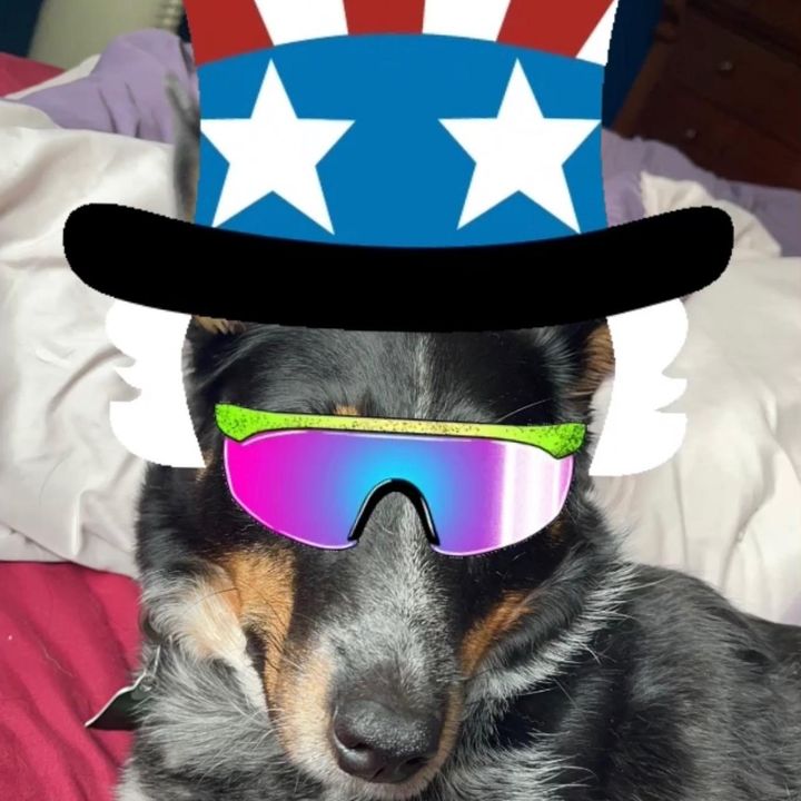 Profile Picture of Joshua Kelley (@@joshuakelley36) on Tiktok