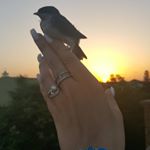 Profile Picture of Yasmine mohamedi (@mina__williams_) on Instagram