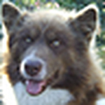 Profile Picture of krasnayazvezda (@krasnayazvezda) on Flickr