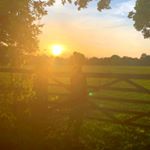 Sarah Levett - Instagram Profile Picture of Sarah Levett (@sarahlevett.dance) on Instagram