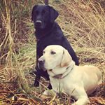 Profile Picture of Jacob Knutson (@jake_knutson1) on Instagram