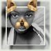 Profile Picture of Cindy Dicene (@cindy.dicene) on Facebook