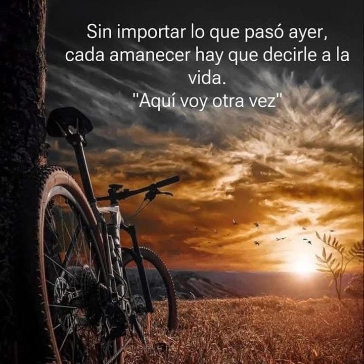 Profile Picture of David Verbena (@annerverbena) on Tiktok