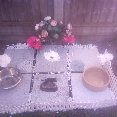 Profile Picture of Scott Hannon (@LondonGooner32) on Twitter