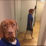Profile Picture of Gavin Sandor (@gavinsandor) on Instagram