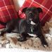 Profile Picture of Jane Gardiner (@jane.gardiner.338211) on Facebook