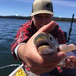 Profile Picture of Gene O'Neill (@genokauaiinbend) on Instagram