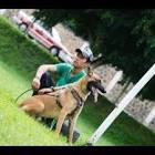 Profile Picture of   Humberto Gonzalez... (@humbertogonzalez71) on Tiktok