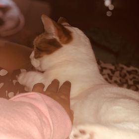 Kylee Dougherty - Pinterest Profile Picture of Kylee Dougherty (@Maggot2003) on Pinterest