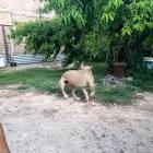 Profile Picture of   TikTok de Paola... (@polymesa20) on Tiktok