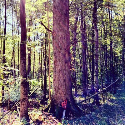 Profile Picture of Jeff Stith (@stith_jeff) on Twitter