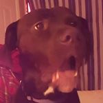 Profile Picture of Matthew Batey (@matthew.batey) on Instagram