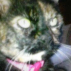 Profile Picture of Peter Wales (@peterwalesfatbe) on Twitter