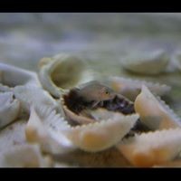 Profile Picture of Steven Wahl (@steven-wahl-3) on Quora