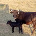 Profile Picture of Travis Ashley (@Travis-Ashley) on Facebook