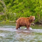 Profile Picture of Marshall (@marshallalden5lm) on Instagram