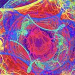 Profile Picture of Kiera Reid.     BF :Maura T. (@kiks_1525) on Instagram