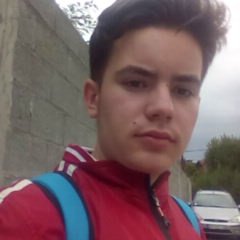 Profile Picture of Elhan Dazdarević (@ElhanDazdarevi1) on Twitter