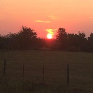 Profile Picture of Kent Morrison (@kentm123) on Twitter