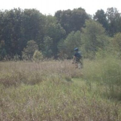 Profile Picture of John Sciberras (@bringcompass) on Twitter