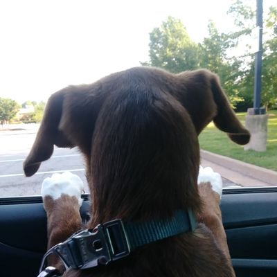 Profile Picture of Tom Schnabel (@schnabz) on Twitter